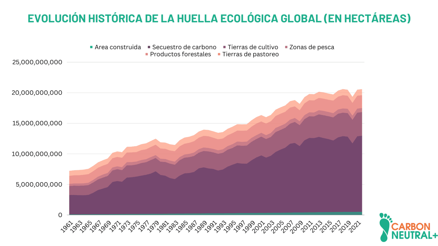 Huella Ecológica: Medir y Reducir el Impacto Ambiental