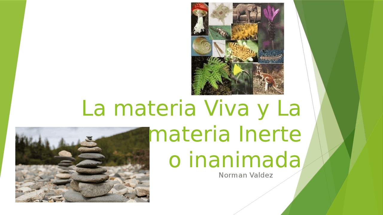 Materia Inerte: Definición, Interacción y Ciclo
